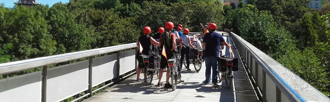 3-hour electric bike tour of Lyon