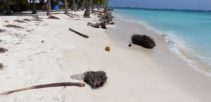 Chill Out Plan - Island Yani - 1 Night GYG