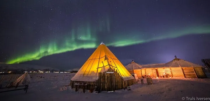 Night reindeer sledding with dinner and northern lights