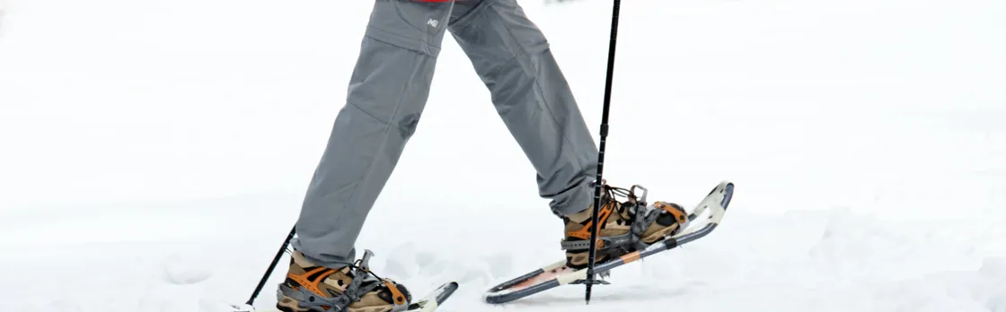 Private Tromsø snowshoeing tour with a TeslaX car ride