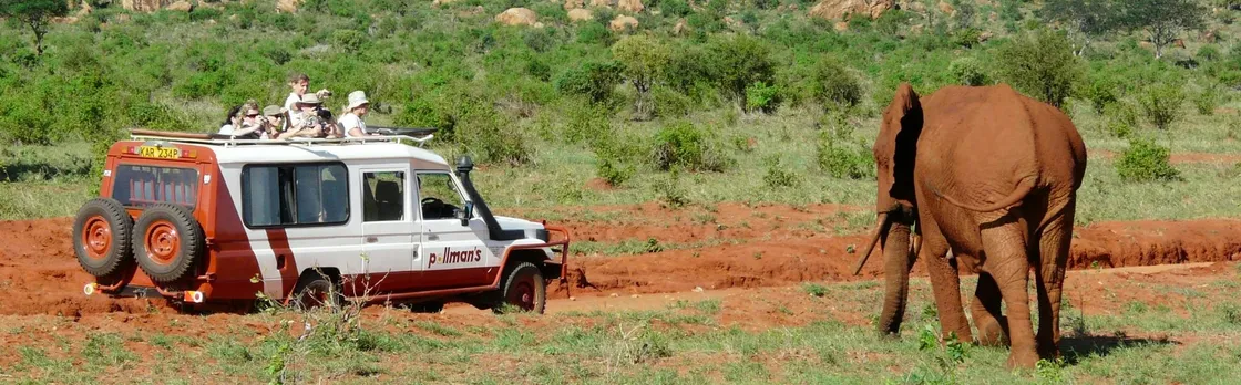 Tsavo East Safari with Overnight Stay at Ashnil Aruba Lodge
