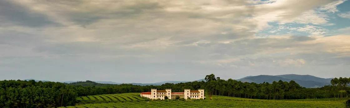 La Val winery guided tour with wine tasting