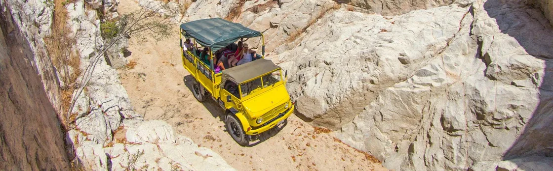 Baja desert trek and camel tour
