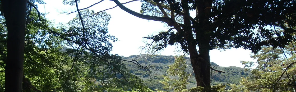 Half Day Excursion to Tierra del Fuego National Park