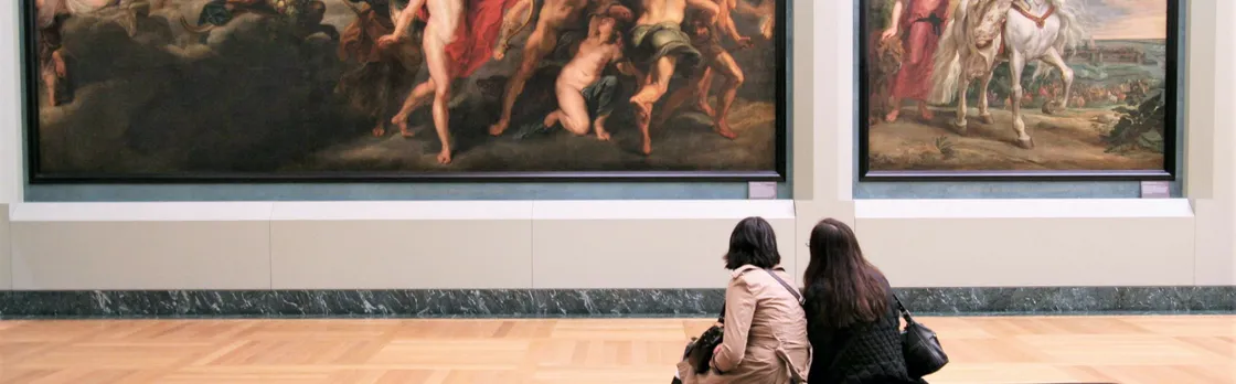 Visit of the Louvre Museum and cruise ticket
