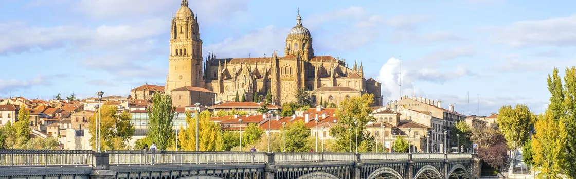 Panoramic Salamanca guided tour