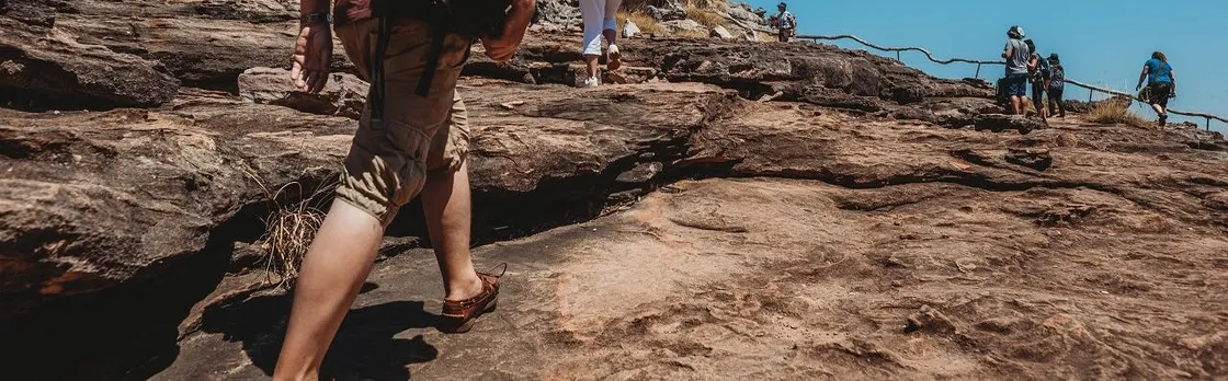 Kakadu National Park full day sightseeing tour in Darwin