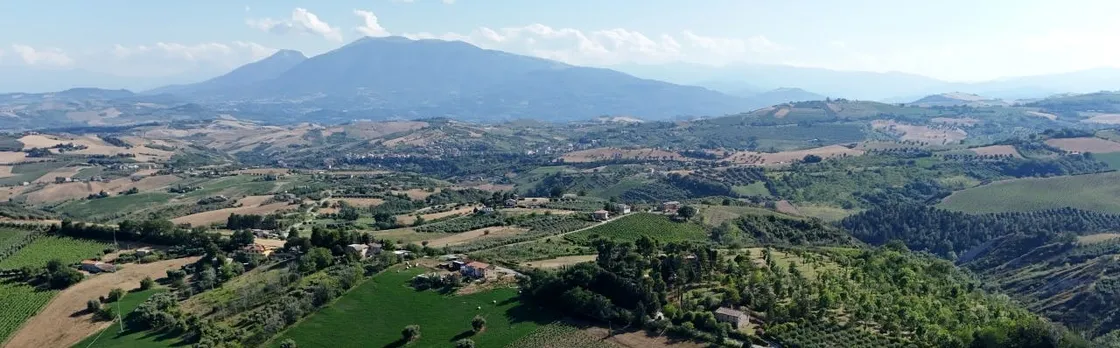 Cantina D'Erasmo Guided Tour with 3 Signature Wine Tastings