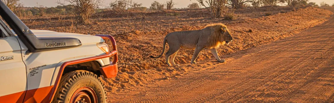 Tsavo East, Taita Hills and Salt Lick three-day safari from Mombasa