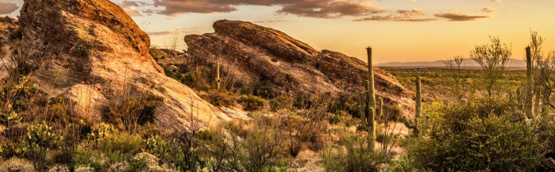 Saguaro National Park Self-Guided Driving Audio Tour