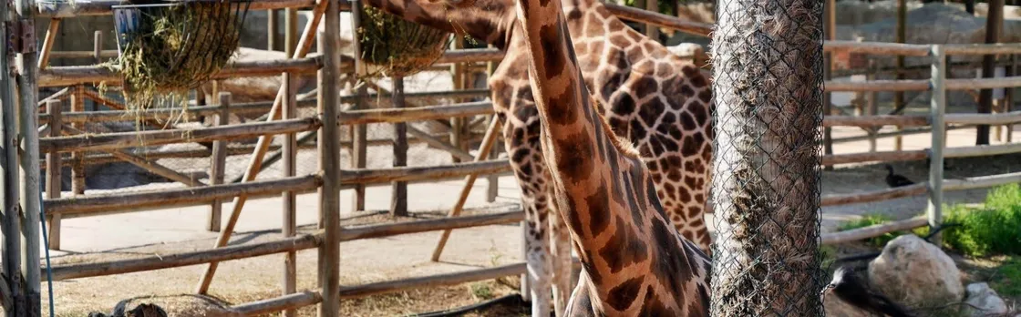 Terra Natura Theme Park in Murcia Entrance Ticket