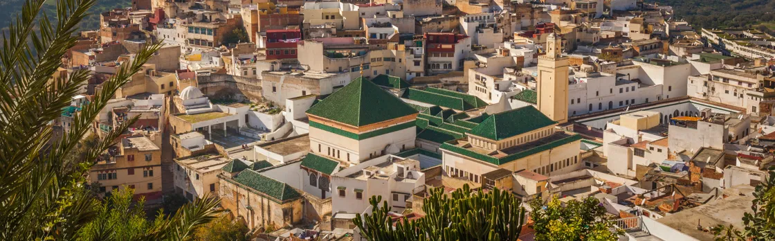 Meknes and Volubilis day trip from Fez