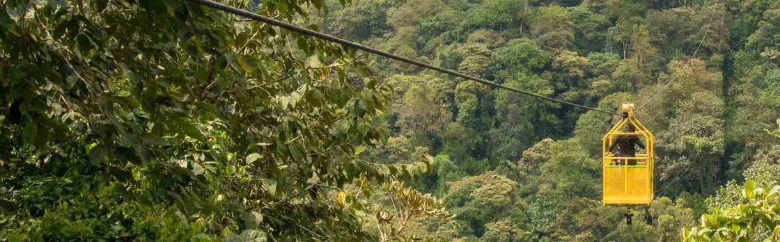 Mindo full-day tour with butterfly garden and cloud forest