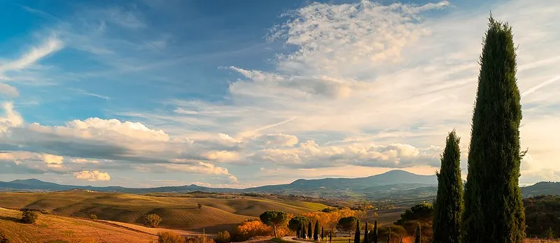Private Tour - A Day in the Enchanting Val D'Orcia with Wine Tasting