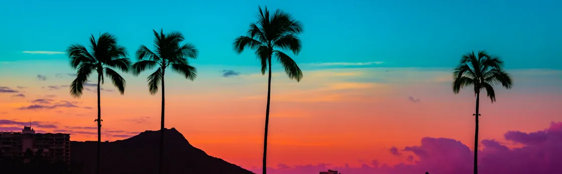 Waikiki's sunset glass-bottom boat cruise