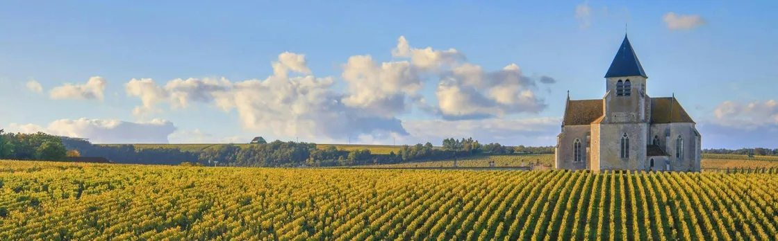 Visit of the Domaine Clotilde Davenne and Chablis wine tasting session