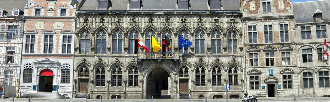 Mons 2-hour intro walking tour with a local