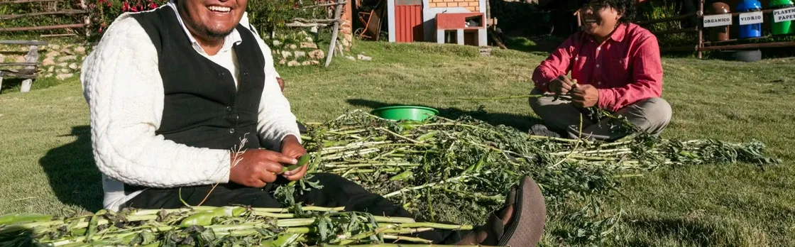Three-day Luquina family homestay with Lake Titicaca island tour