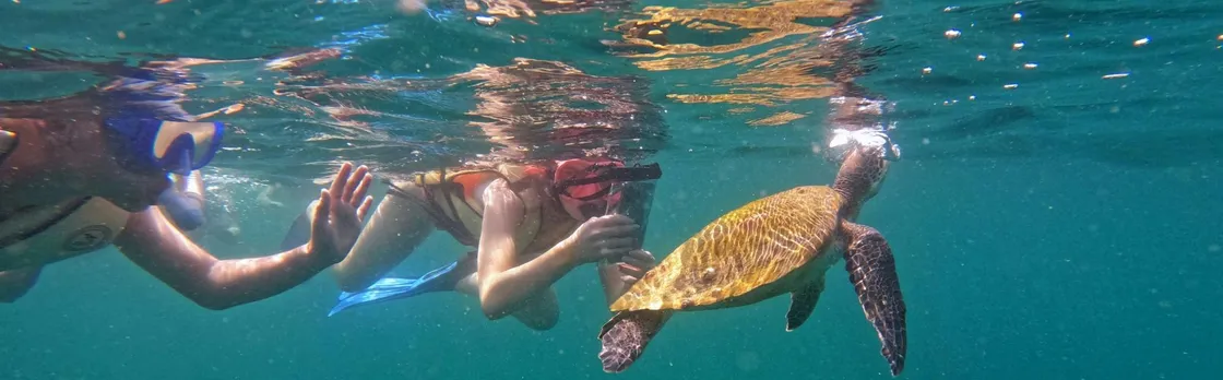 Fujairah snorkelling experience with transfer from Dubai