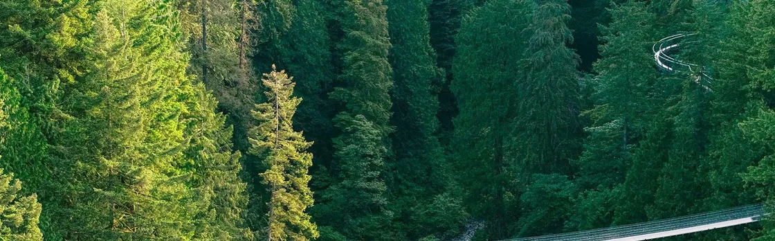 Capilano Suspension Bridge Park tickets