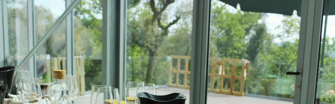 Vinho Verde vineyard and wine tasting experience