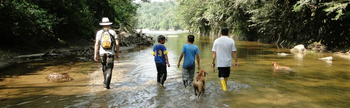 Napo Province primary rainforest guided tour with a local