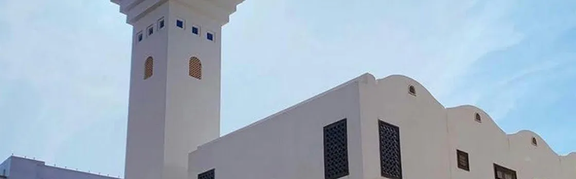 Madinah guided tour without lunch