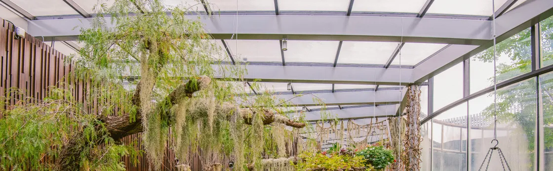 Gardens by the Bay - Floral Fantasy Entrance Ticket