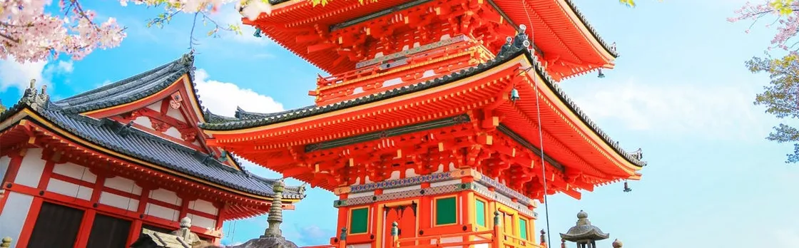 1-day tour to Kyoto and Nara Park from Osaka