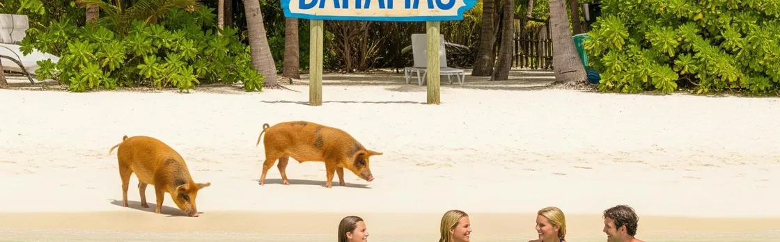 Grand Bahama tour with optional Pig Beach visit