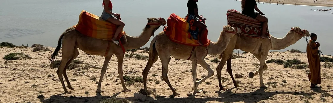 Camel Riding and Moroccan Tea on Tamri Beach from Agadir or Taghazout