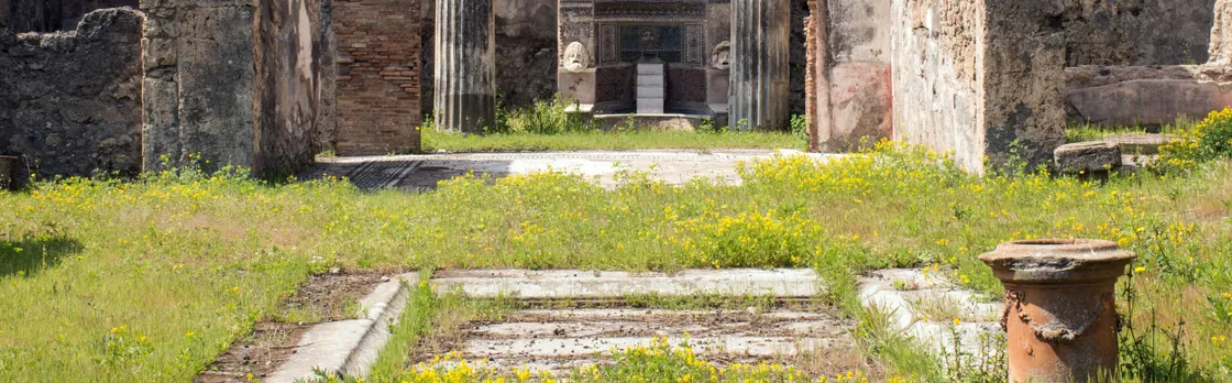 Pompeii half-day from Amalfi Coast