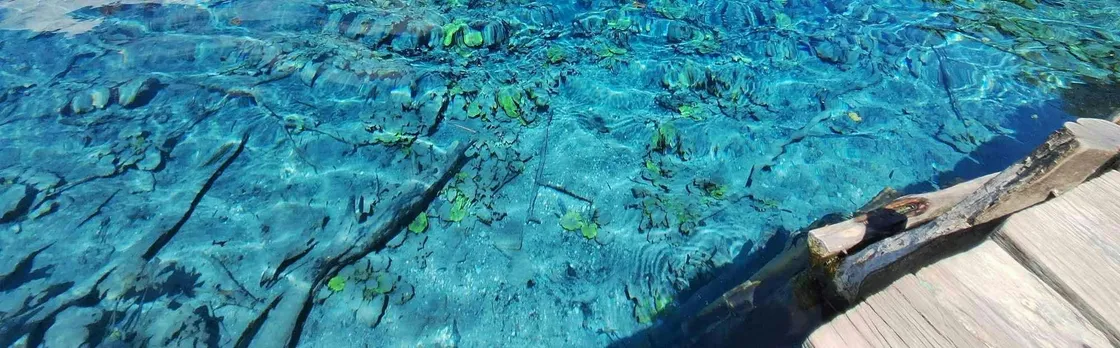 Blue Crater, Imox Lagoon and Poza Azul boat tour from Flores