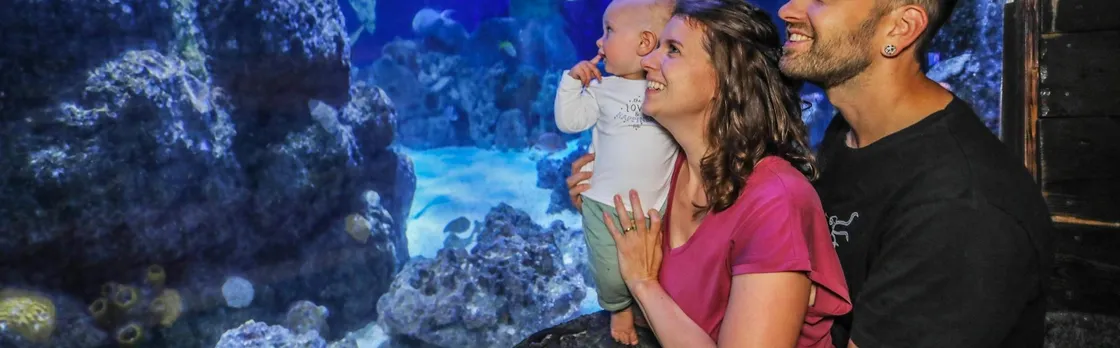 Entrance tickets to discover Hannover Sea Life Aquarium