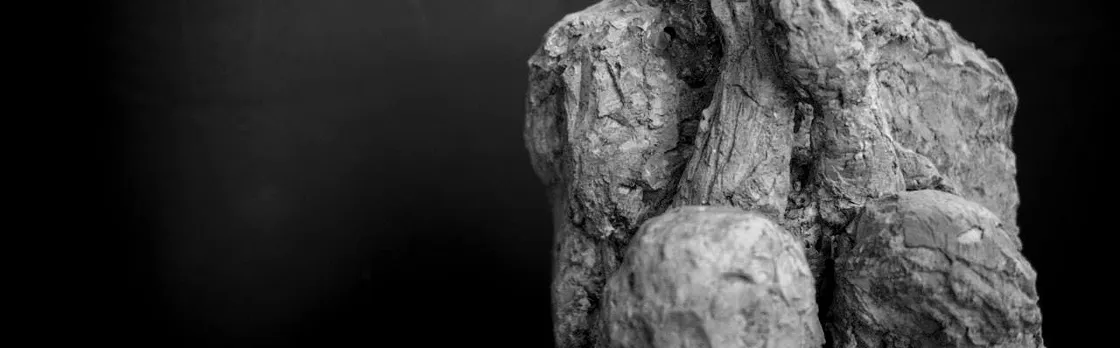 Pompeii small group tour from Maiori with skip-the-line tickets