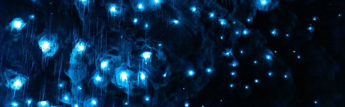 Te Anau Glowworm Caves