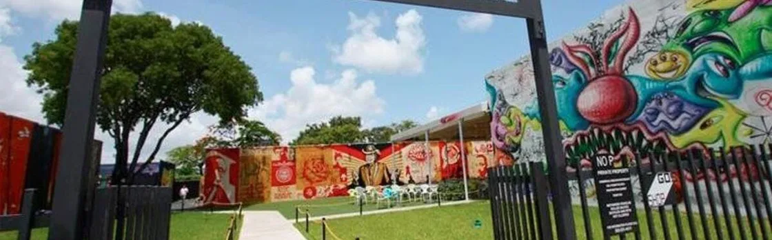 Wynwood walls and street art tour