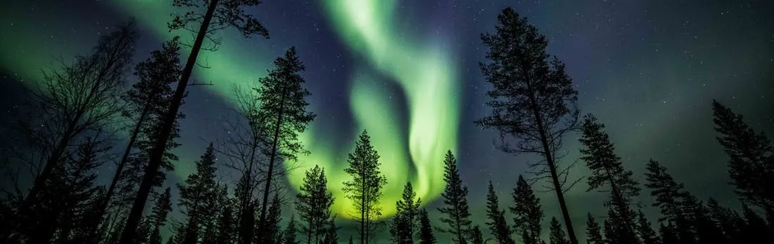 Discover the Northern Lights in a photography tour
