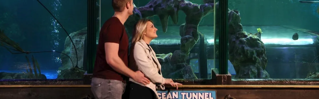 Sea life Blackpool entrance tickets