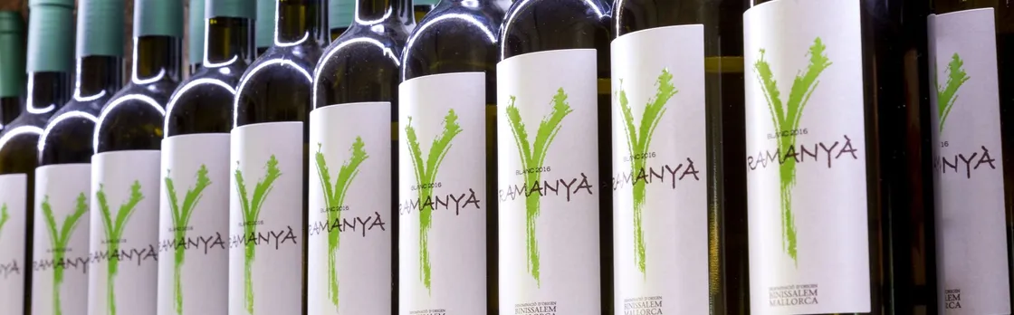 Majorca winery visit with wine and local food tasting