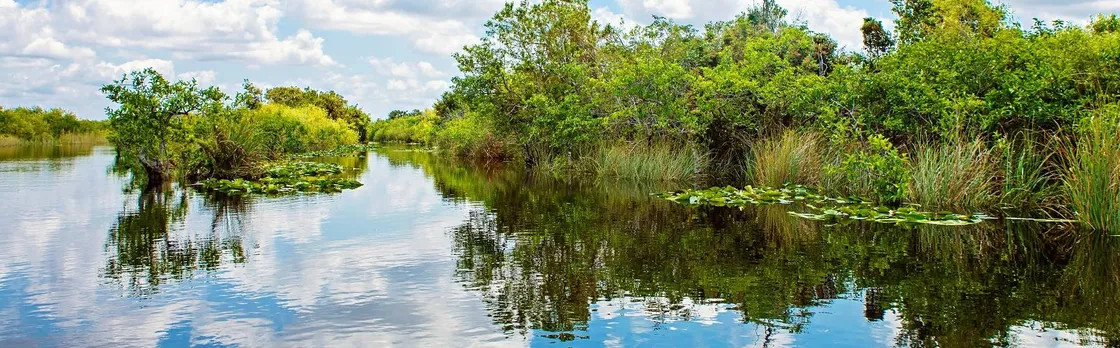 Everglades Tour from Miami