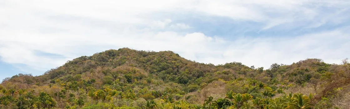 Vallarta Adventures Las Caletas Beach Hideaway