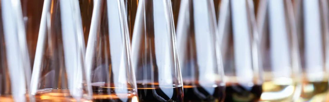 Slovak wine tasting with a sommelier in Bratislava
