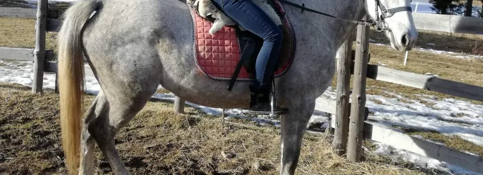 Private Horse Riding near Rhodope Mountains from Plovdiv