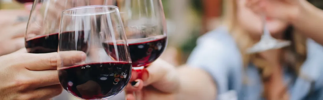 Wine Experience through Chianti Hills from Florence