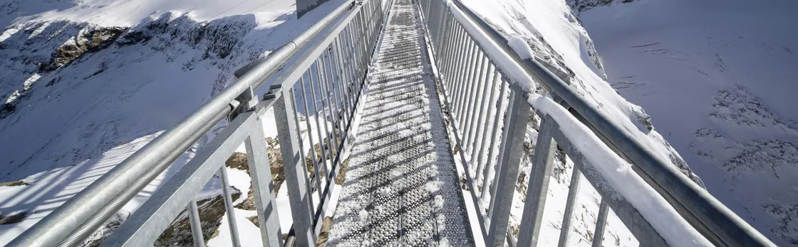 Full-day tour to Glacier 3000 and Montreux from Geneva