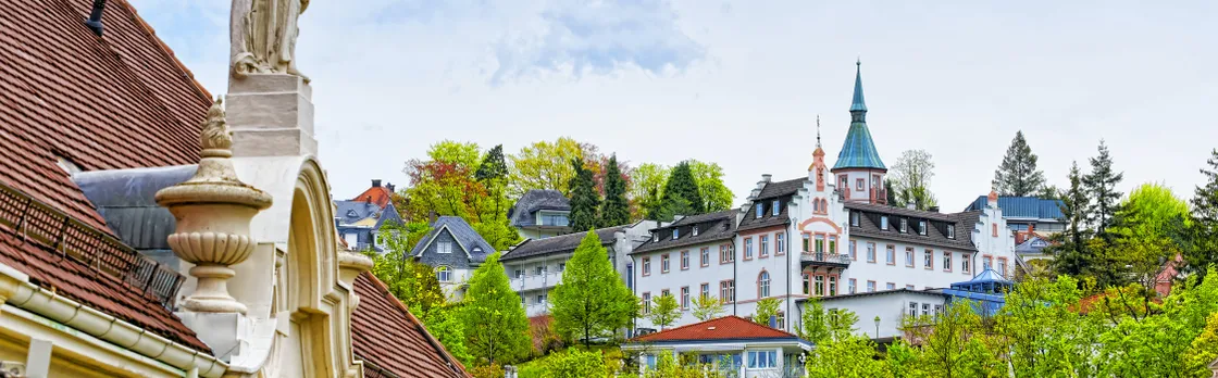 Baden Baden Visit and Black Forest Shared Tour