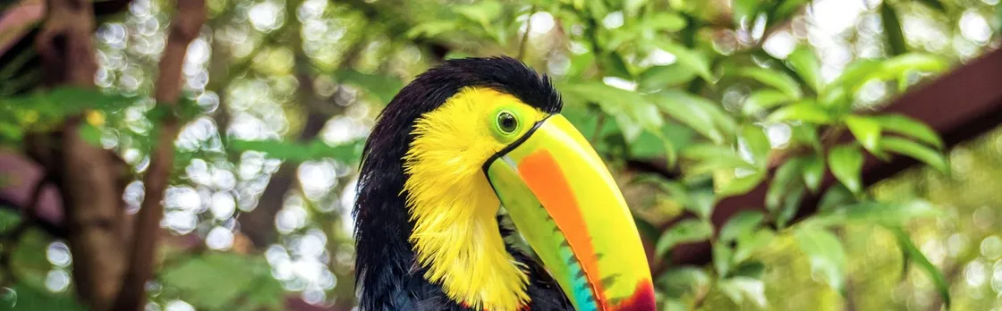 Diamante Eco Park Animal Sanctuary Discovery Ticket