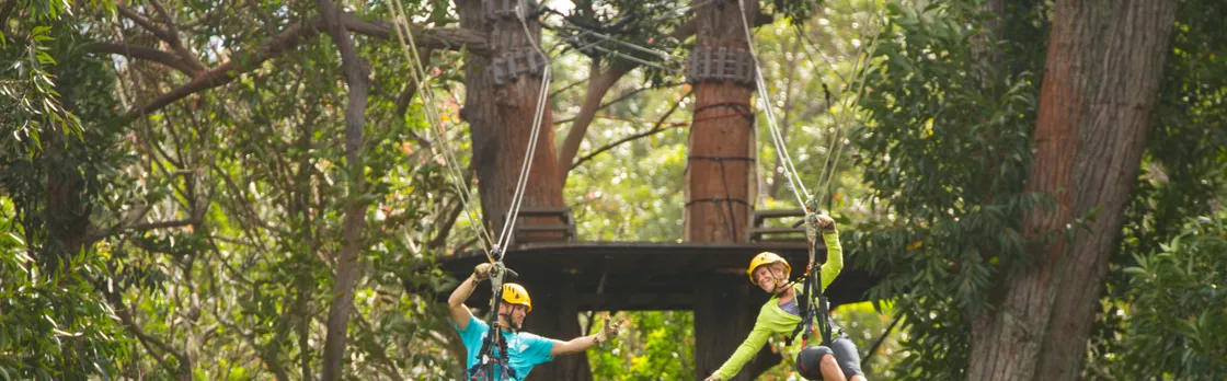 Kohala zipline canopy adventure