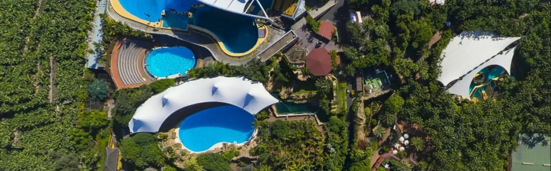Tickets to Loro Parque in Tenerife